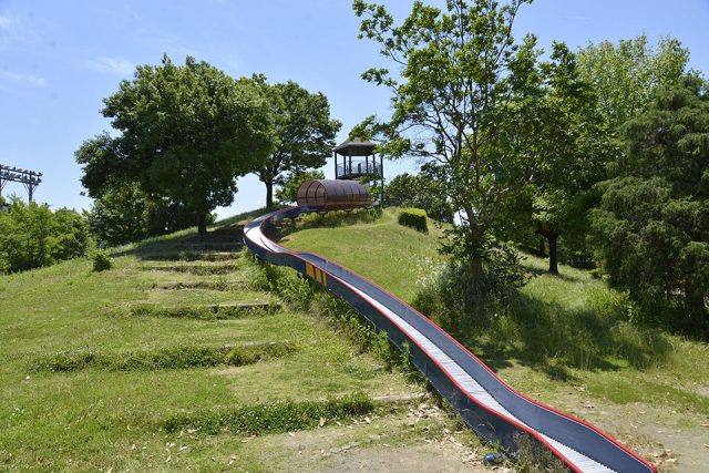 丘のある公園