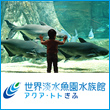 世界淡水魚園水族館アクア・トトぎふ