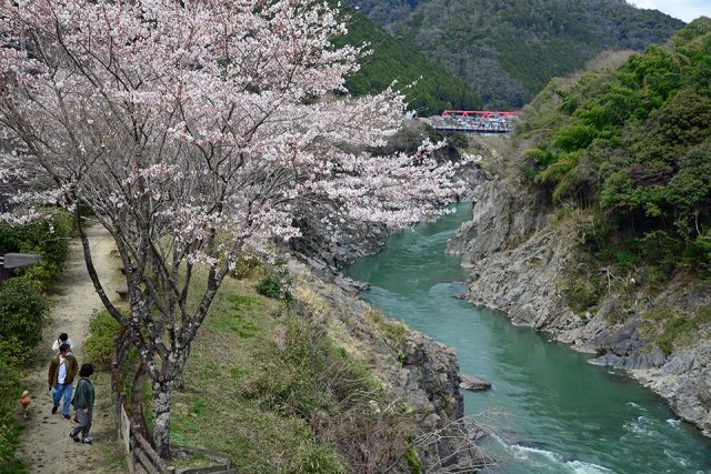 飛騨川の風景