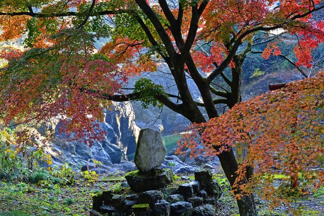 飛騨川の風景