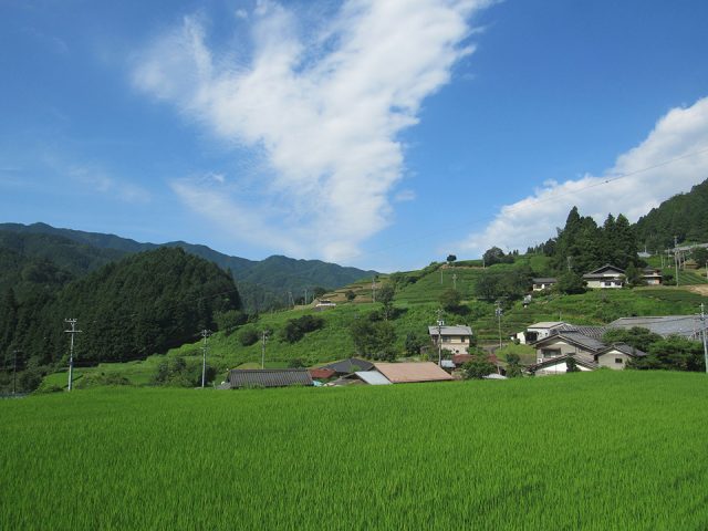 東白川村の風景