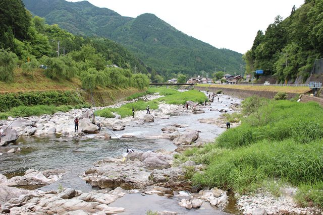 東白川村の越原の鮎の友釣り風景