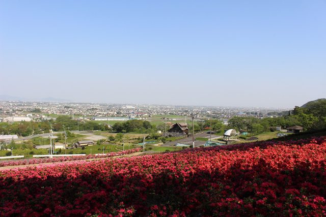 山麓道路