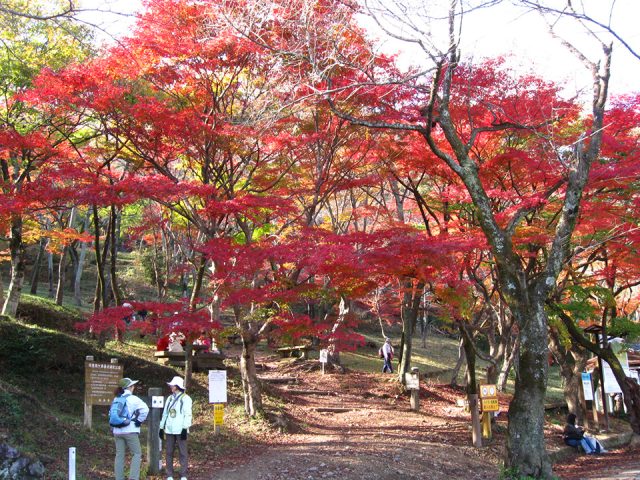 紅葉の「霞間ヶ渓」の登山口