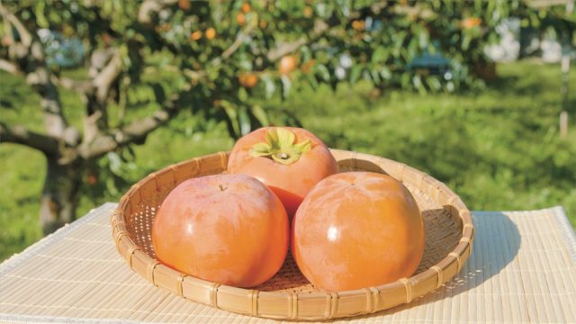 大野町の特産品の柿