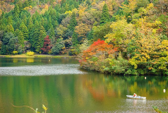 秋の伊自良湖