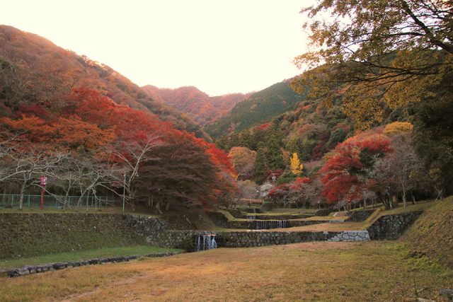 秋の養老公園の風景