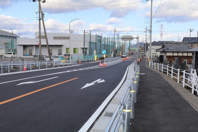 青桐通りの風景