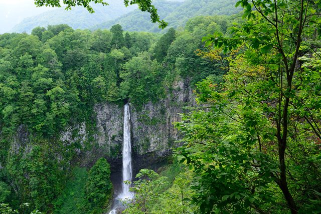 白川郷の白水滝