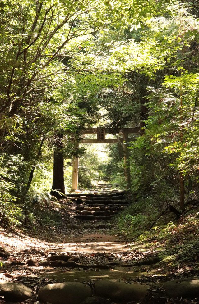 権現山