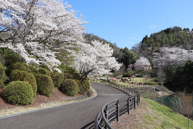 山楠公園