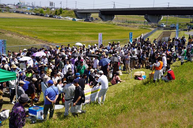 ますつかみ大会の様子