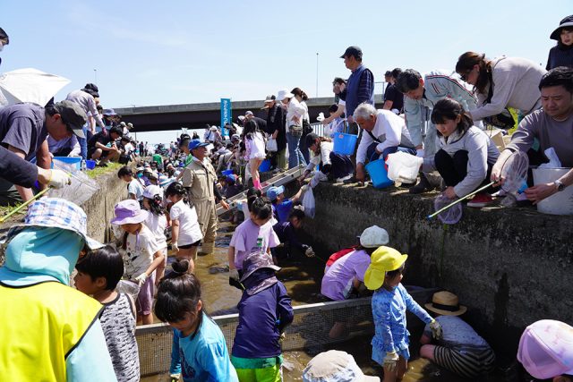 ますつかみ大会の様子