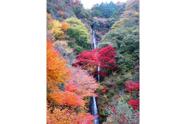五宝滝の秋の風景
