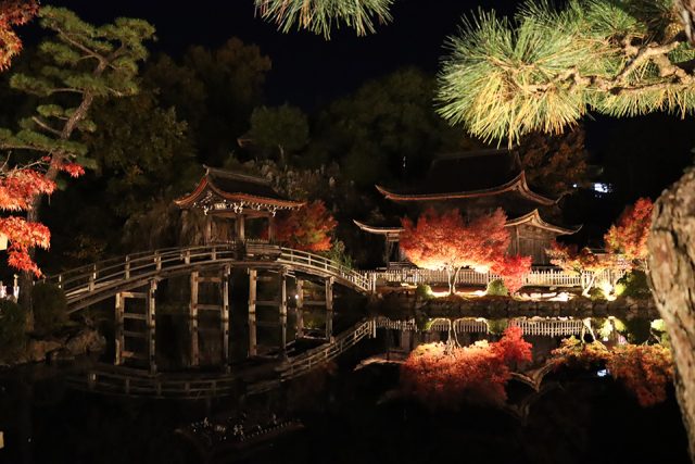 虎渓山永保寺のライトアップ