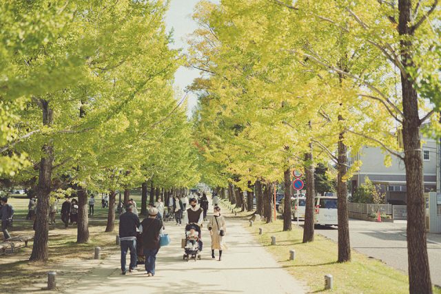 学びの森プロムナードの秋の風景