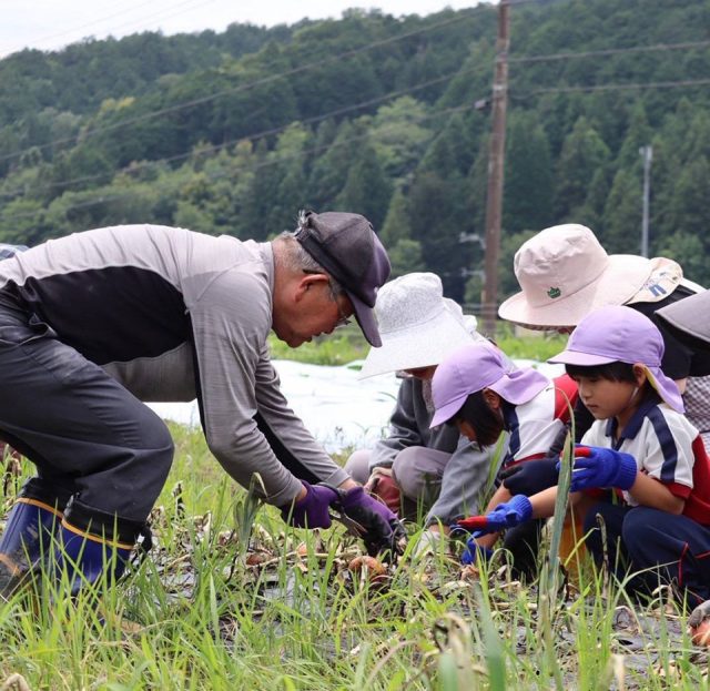 アクティブGメン75