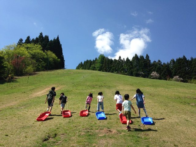 夏の揖斐高原