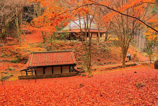 荒川豊蔵資料館の秋の風景