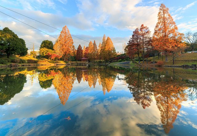 前平公園の池に紅葉が映る秋の風景